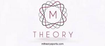M. Theory investment cc 